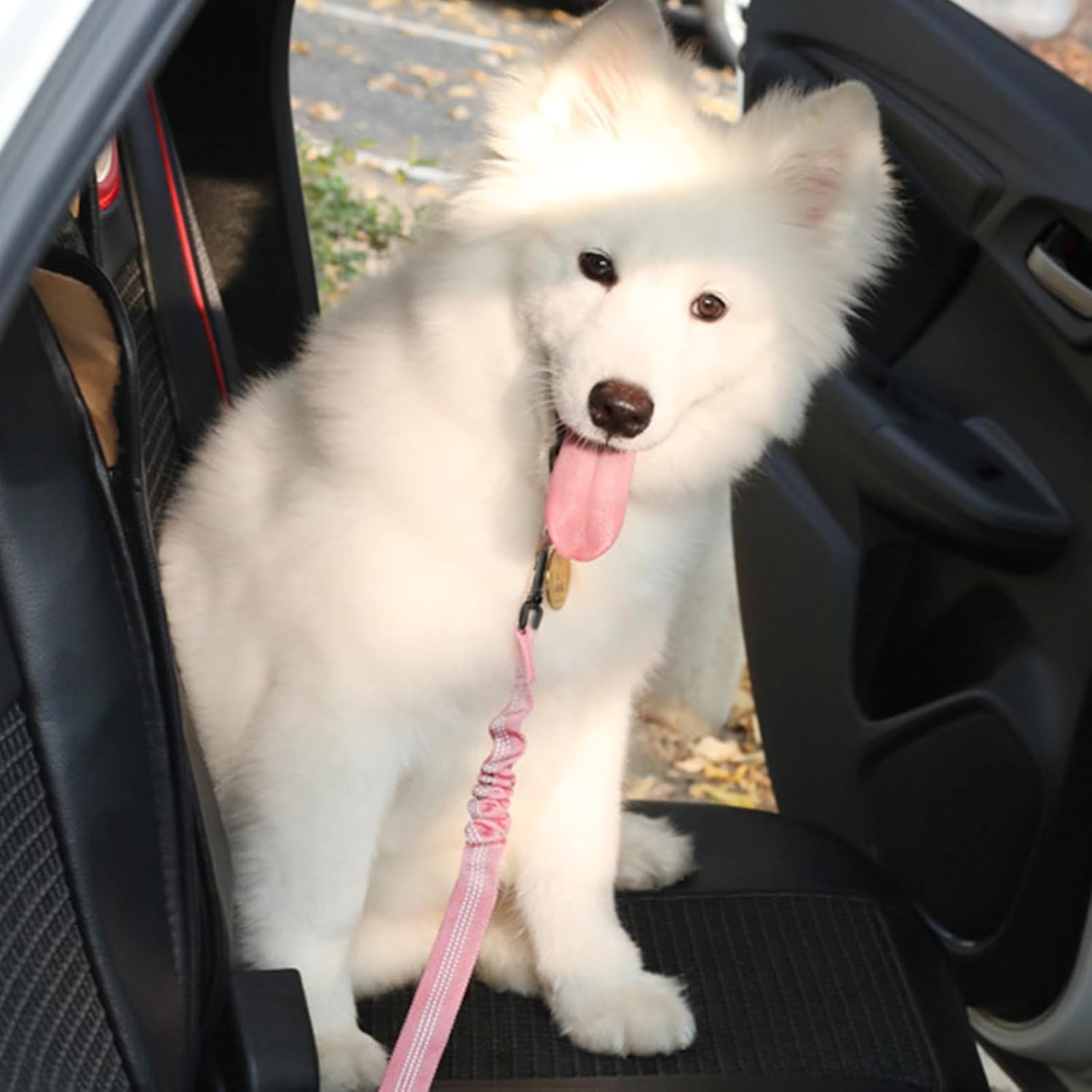 Dog Car Seat Belt Safety Leash For All Breeds &amp; Vehicles
