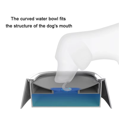 No-Spill Dog Water Bowl with Floating Plate